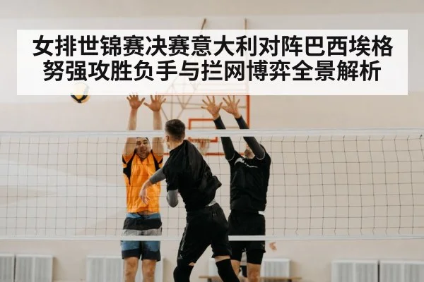 volleyball block net