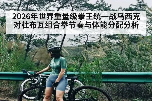 2026年世界重量级拳王统一战乌西克对杜布瓦组合拳节奏与体能分配分析